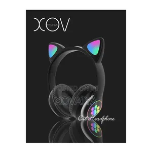 Cat Headphone