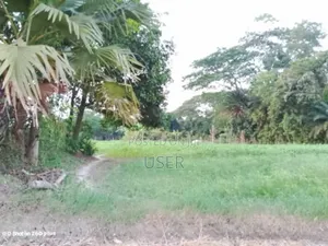 Photo - Exactly Emergency Sale