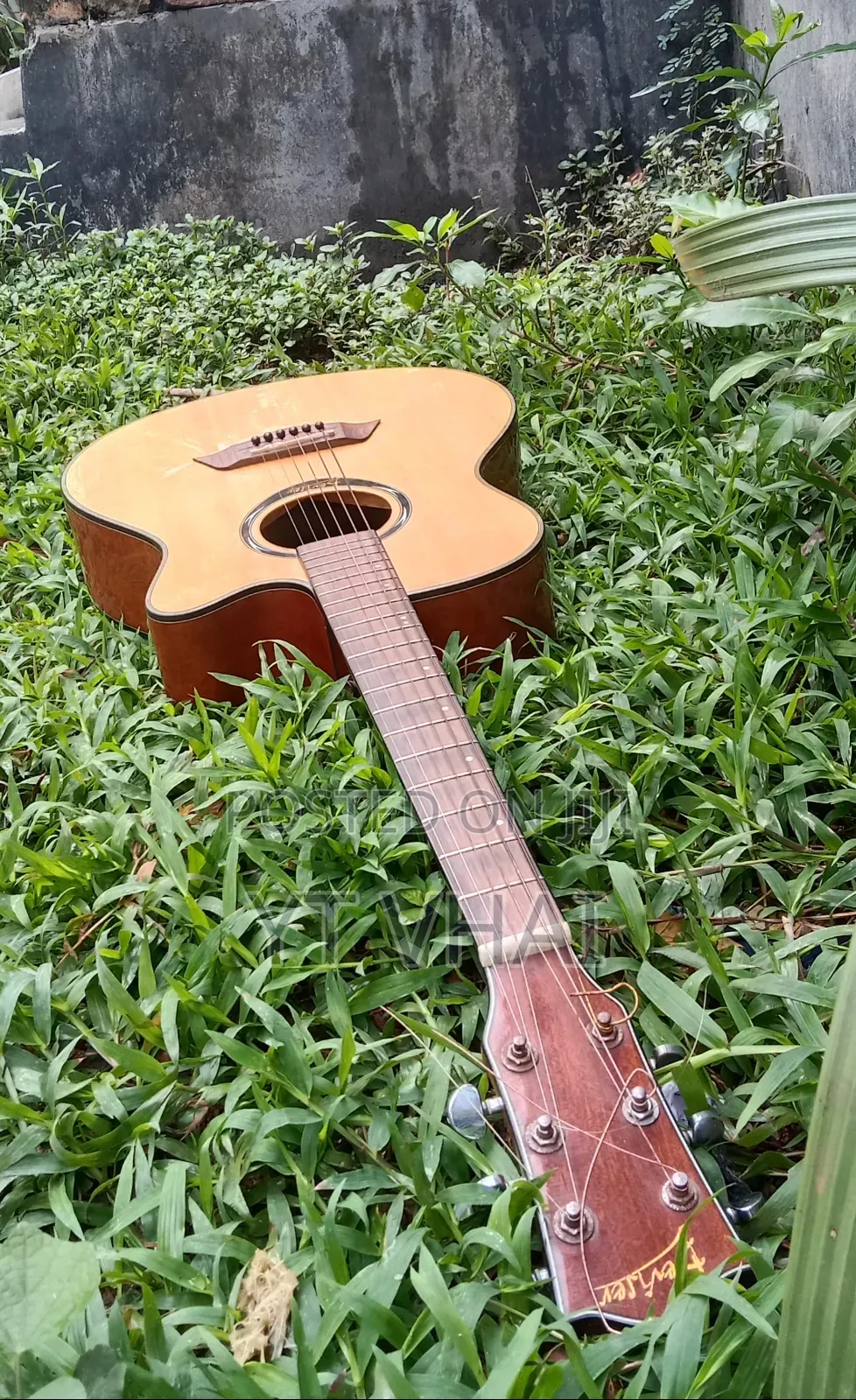 Guitar গিটার বিক্রি হবে