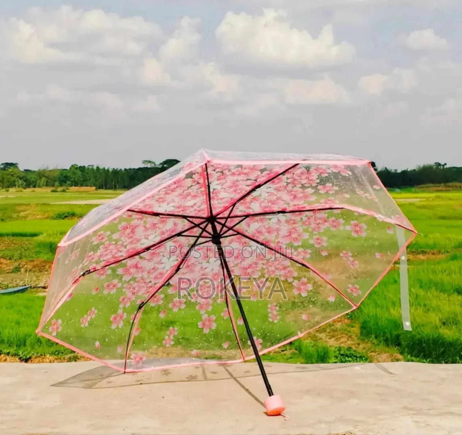 Umbrellas Collection Made in China