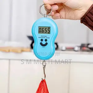 Electronic Digital Hanging Scale