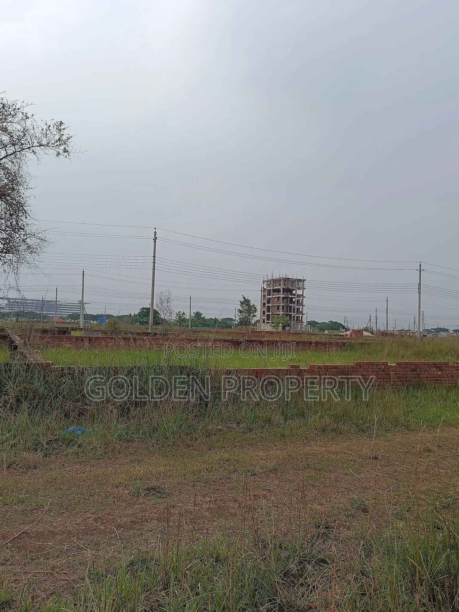 5 Plot for Sale Bashundhara Baridhara Housing