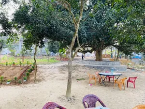 Pine City ,Bhaiya Houseing LTD