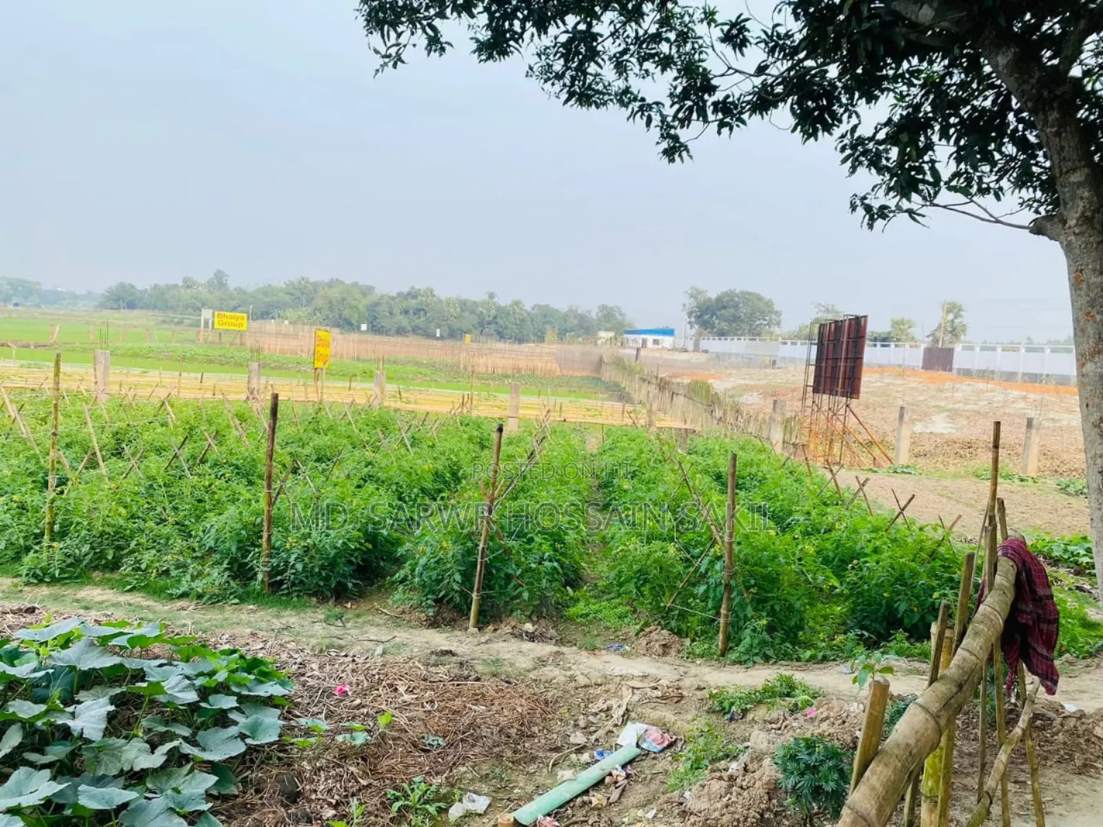 Pine City ,Bhaiya Houseing LTD