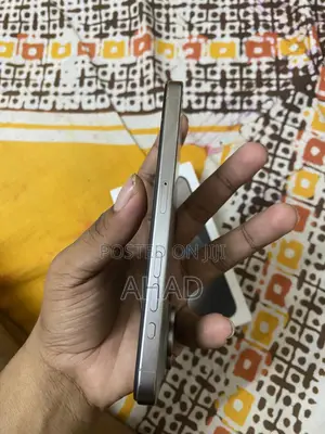Apple iPhone 15 Pro Max 256 GB Gray