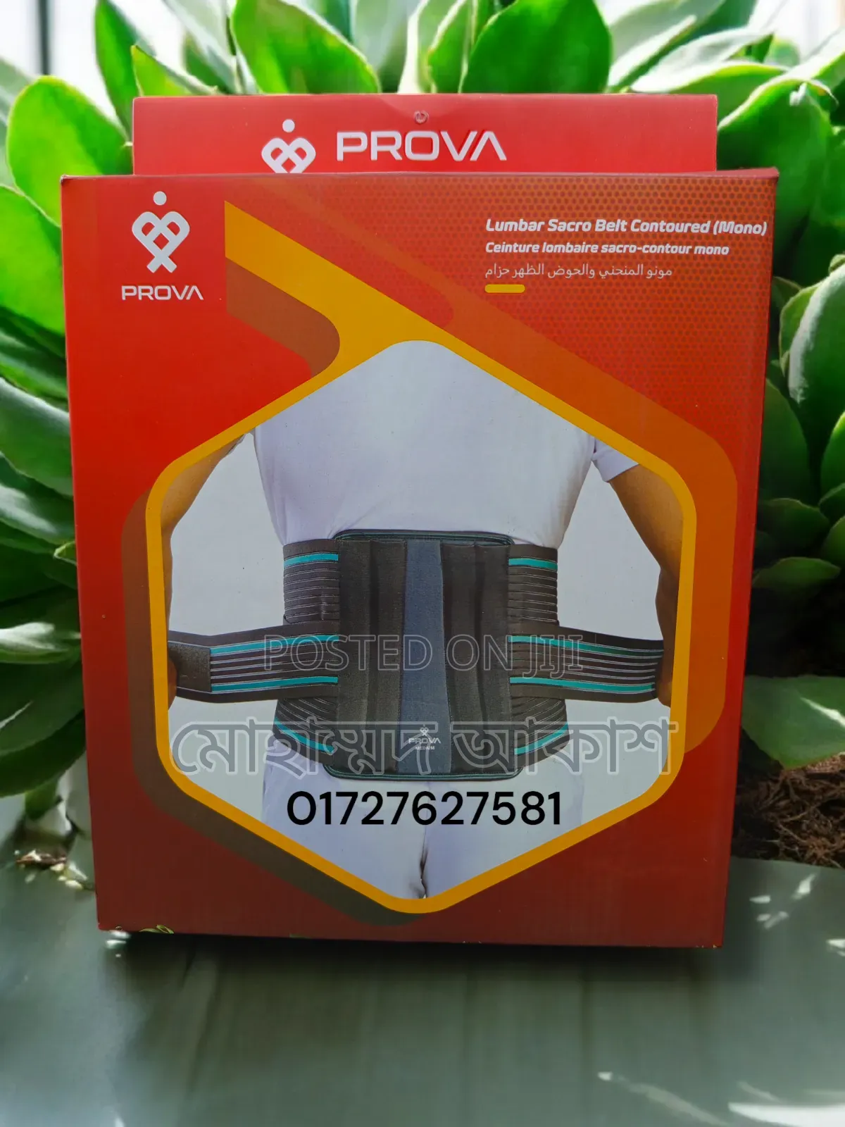 Prova Lumbar Sacro Belt Contoured (Mono)