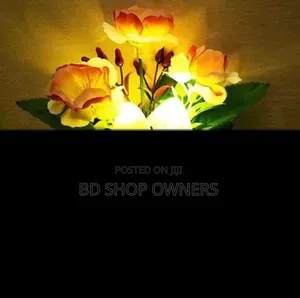 Amecolor Changing Mushroomdream Sensor Led Night Litric Plu