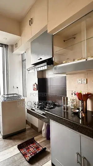 Furnished 4bdrm Apartment in Dhaka, Gulshan for rent