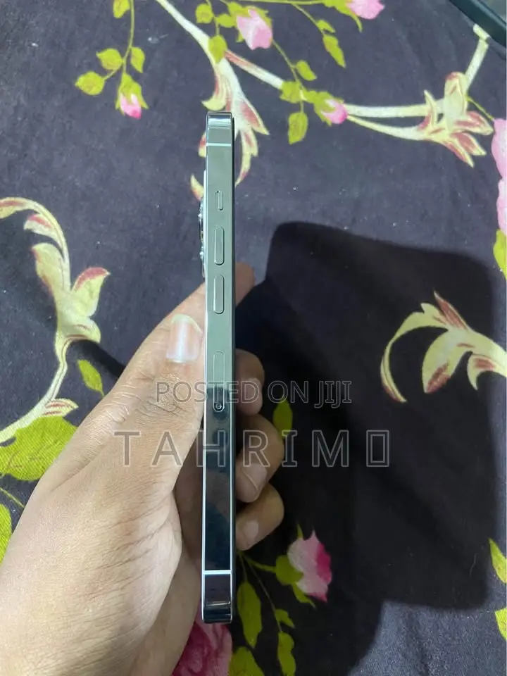 Apple iPhone 13 Pro 128 GB Silver