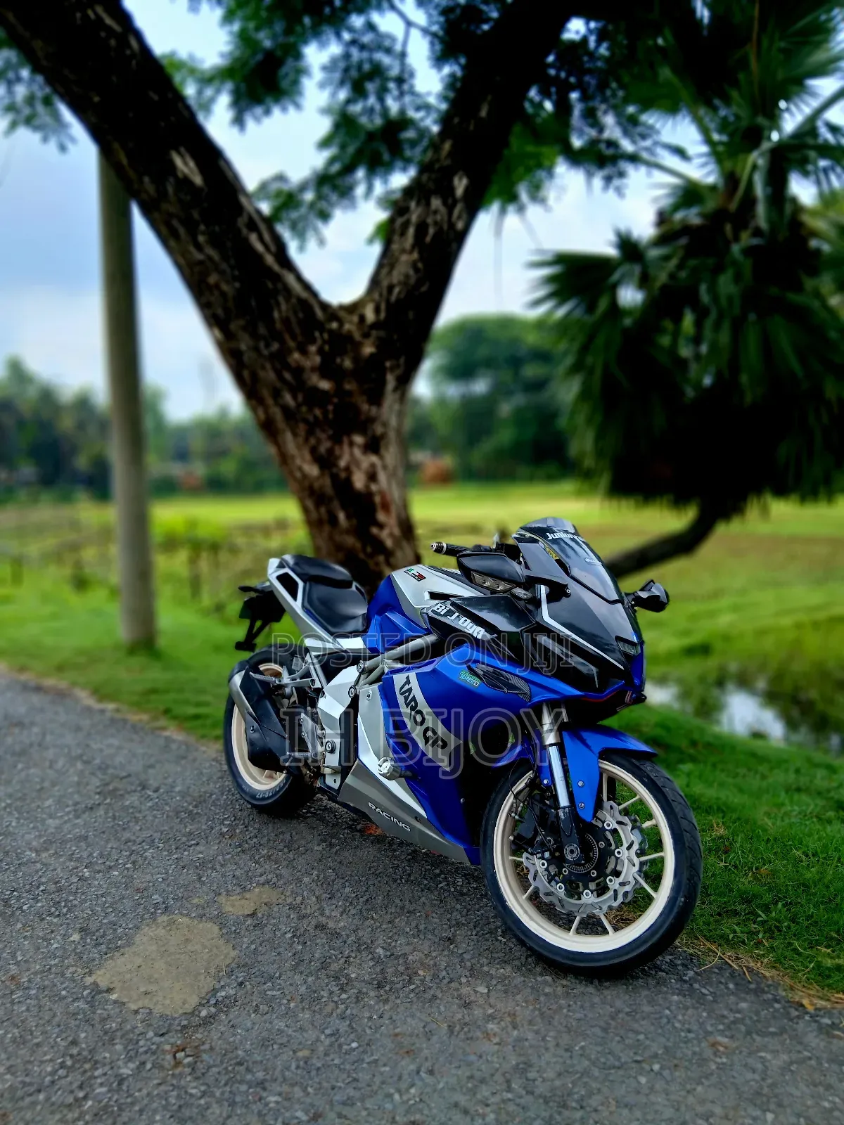 Taro 2022 Blue
