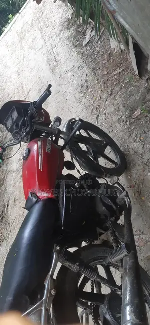 Hero Eco 100 2015 Red