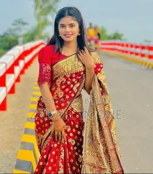 2025 New Update Collection Benarosi Sharee