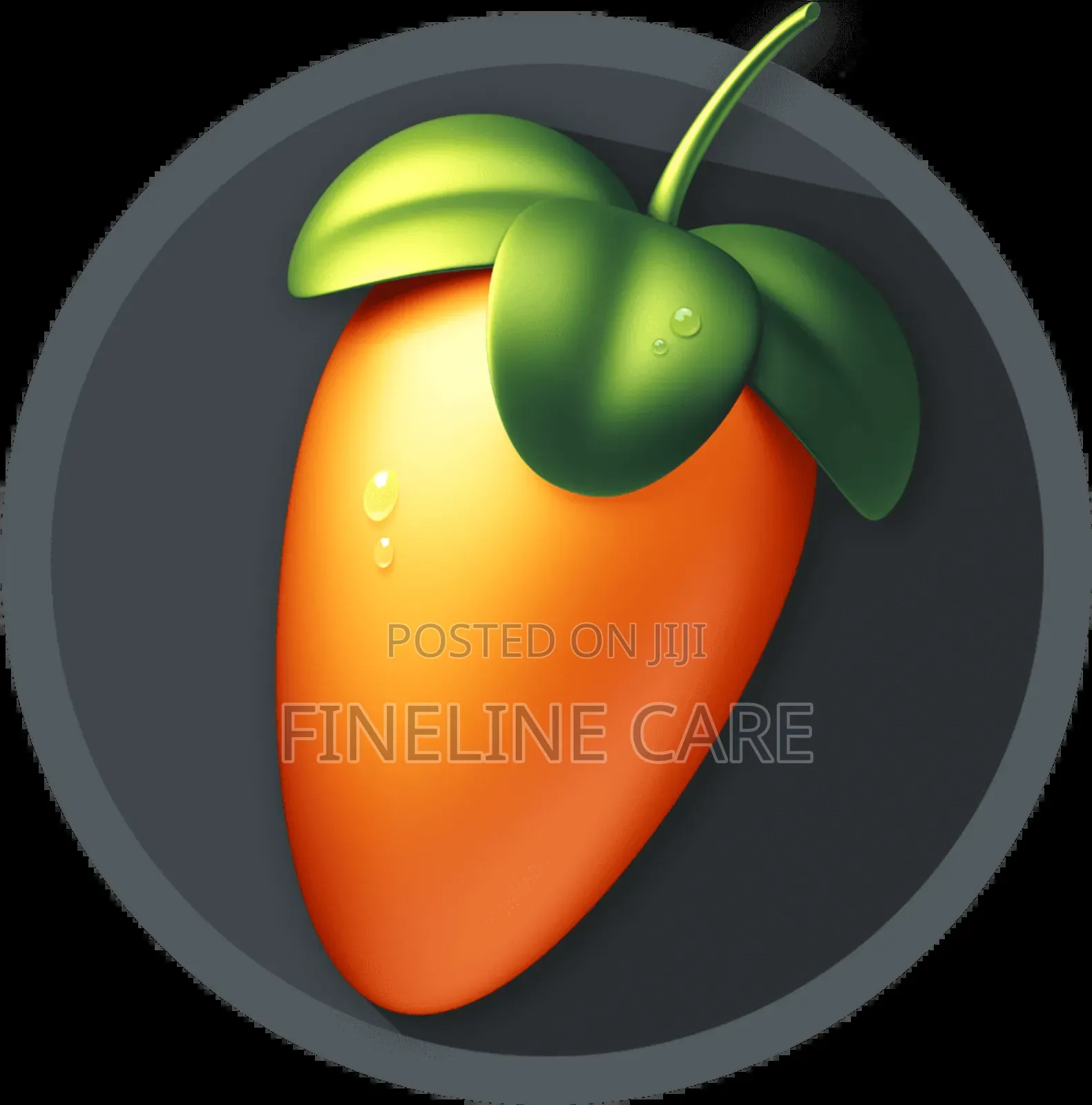 Fl Studio Producer Premium