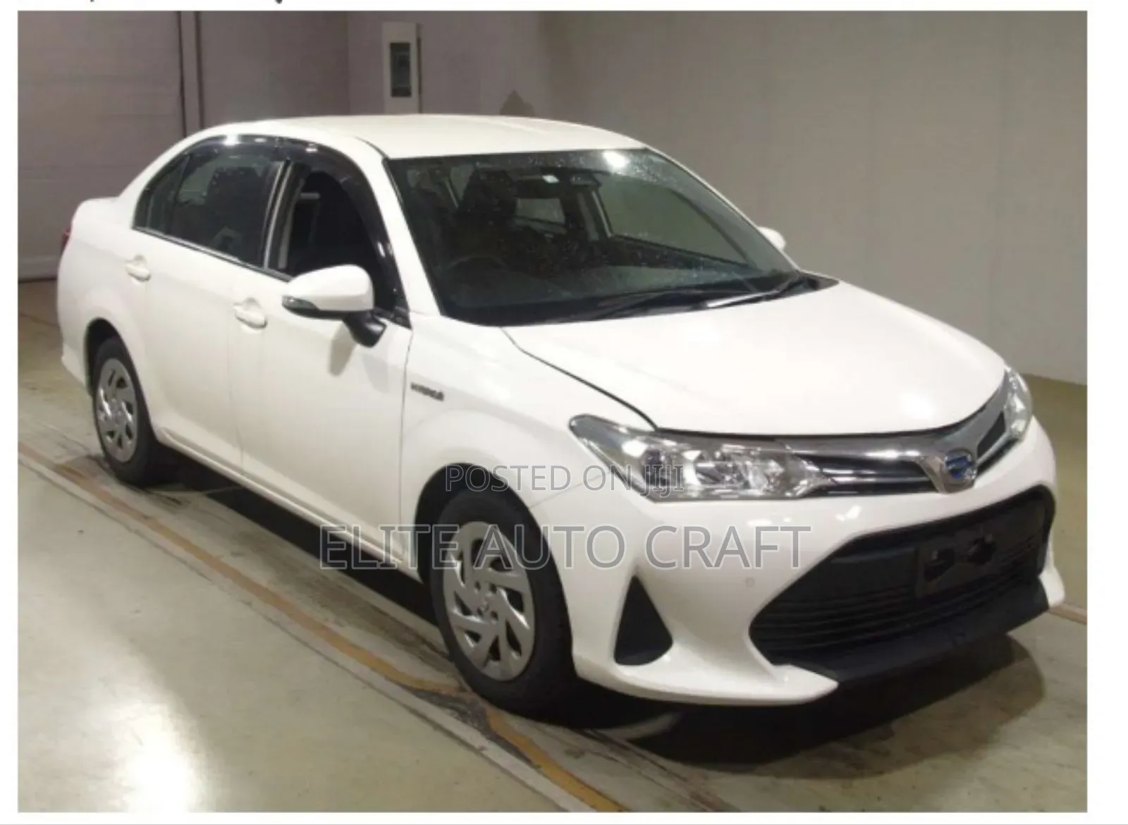 Toyota Axio 2019 Pearl