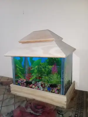 Photo - Fish Aquarium