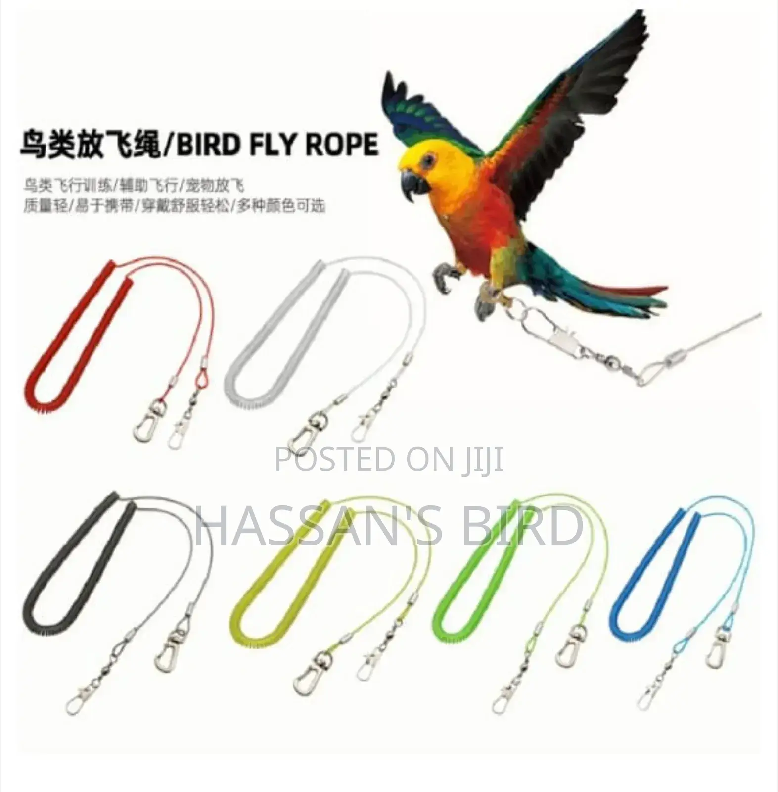 Bird Harness