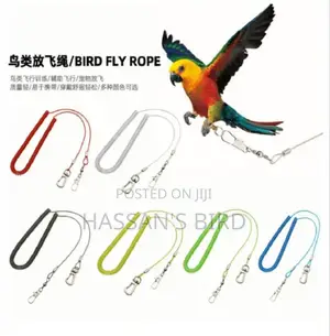 Photo - Bird Harness