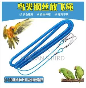 Bird Harness