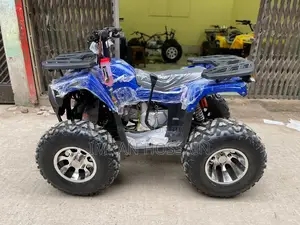 New Beach Buggy 2025 Blue