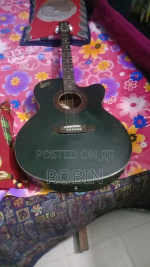 Photo - Robin Robin