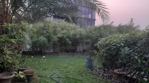 Urgent Land Sale Dia Bari Uttara