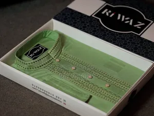 Premium Cotton Embroidery Panjabi