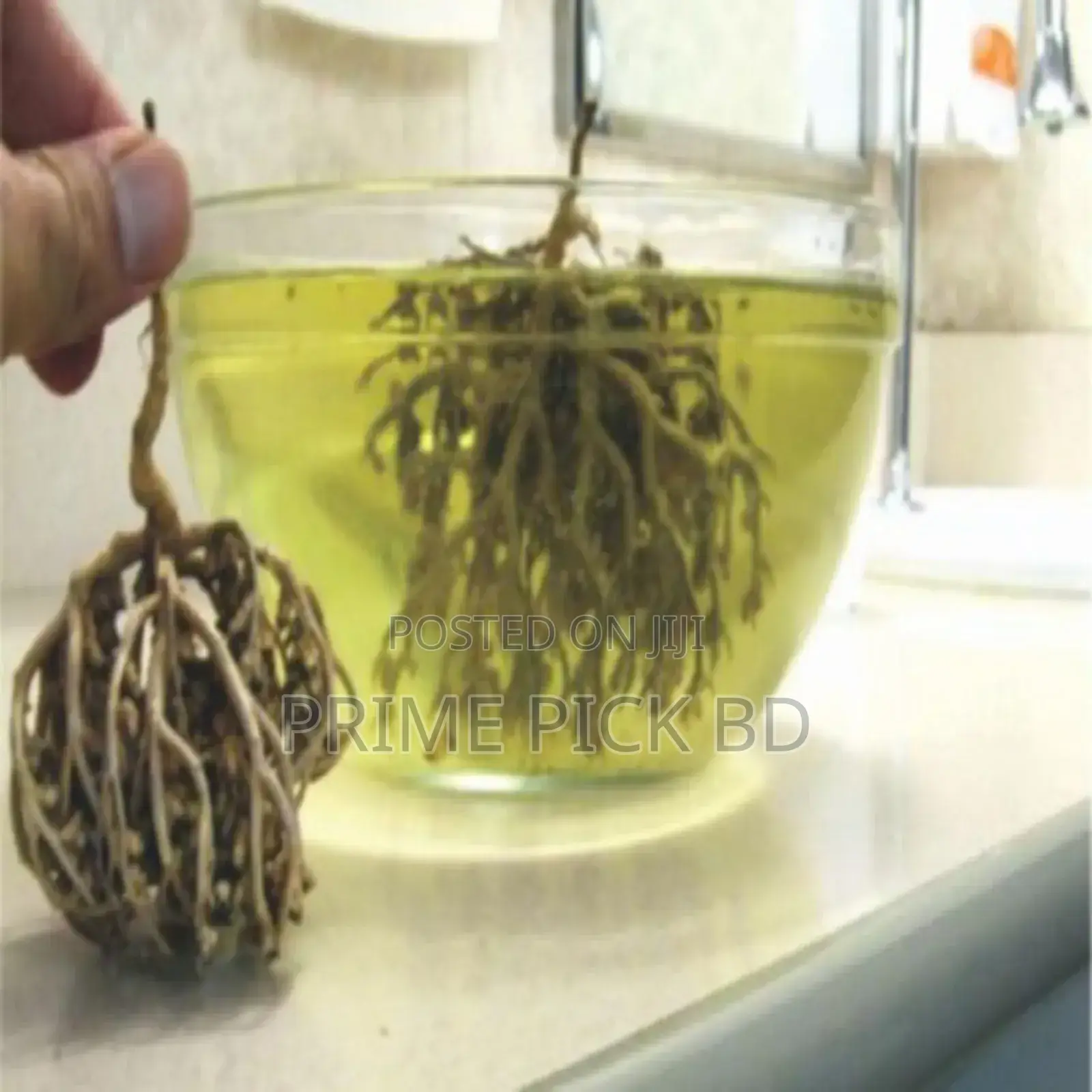 Product Details of Moriom Flower [মরিয়ম ফুল]