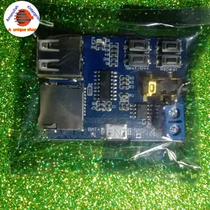 Mp3 Module ( Usb+Memory Support)
