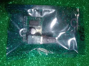 Pam8403 Mini Digital Amplifier Board, a Compact Amplifier