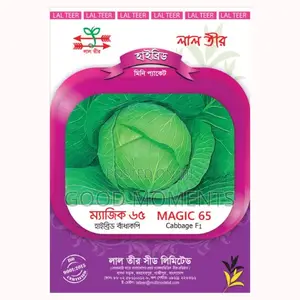 Cabbage Seed