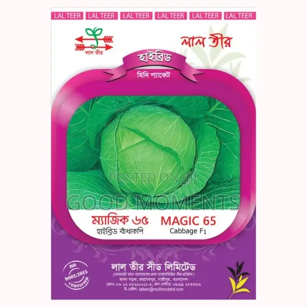 Cabbage Seed