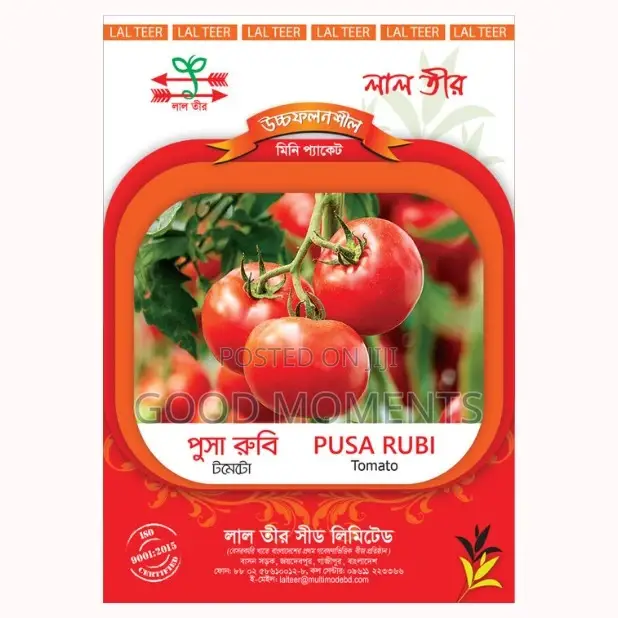 Tomato Seed