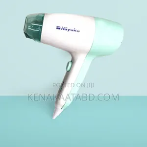 Miyako Hair Dryer Rcy D18