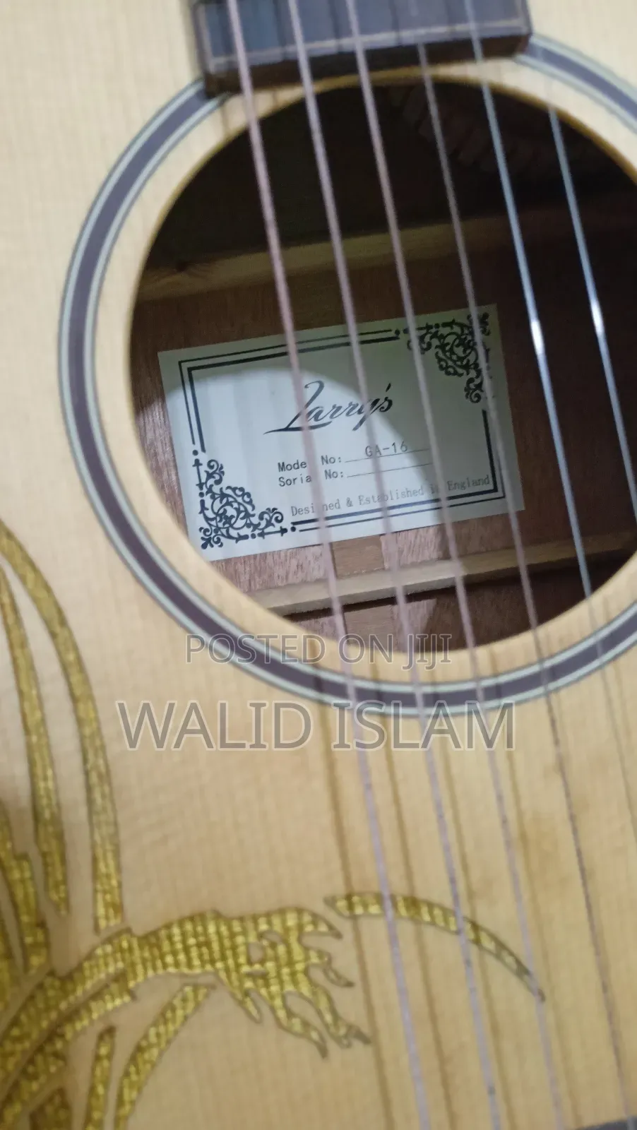 Acoustic Guiter -Larry's