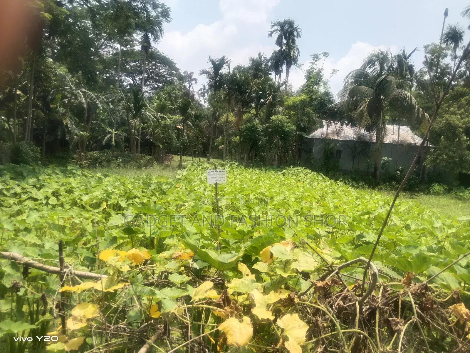 Buy Lend In Mymensingh Sodor