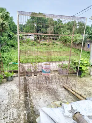 Photo - Khacha/Cage