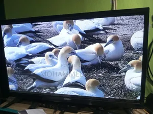 Photo - Hamim 32 Inch Tv