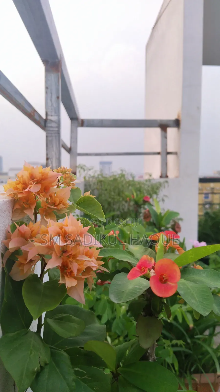 3bdrm Apartment in Shotodol Real Estate, Mogbazar for sale