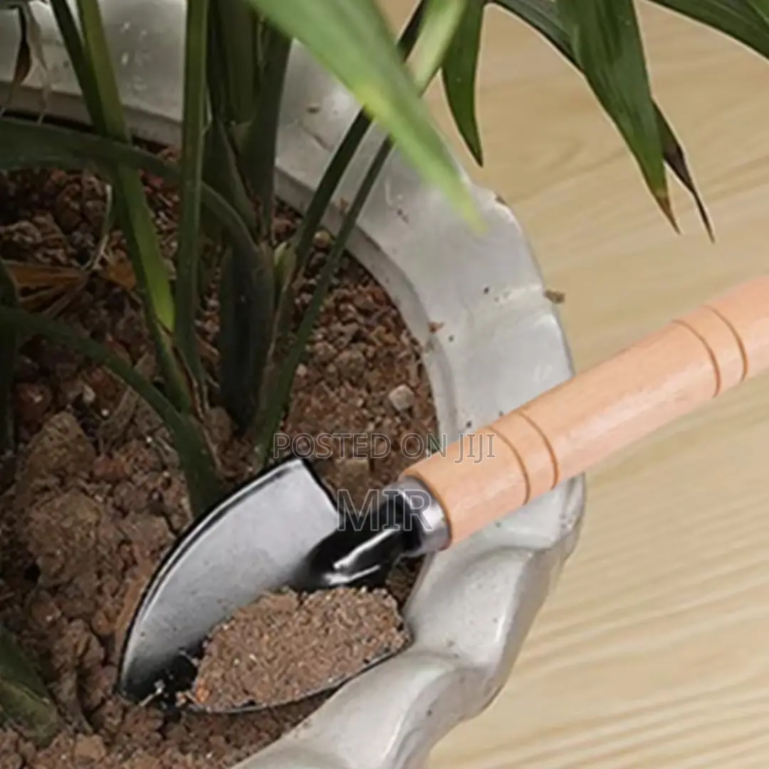 3pcs Mini Garden Tool Set