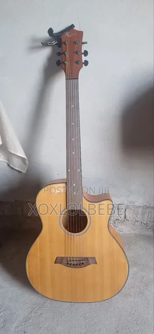 Photo - Acoustic Guitar From Acoustica