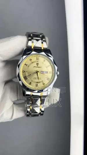Poedagar 615 Luxury Quartz Watch for Men