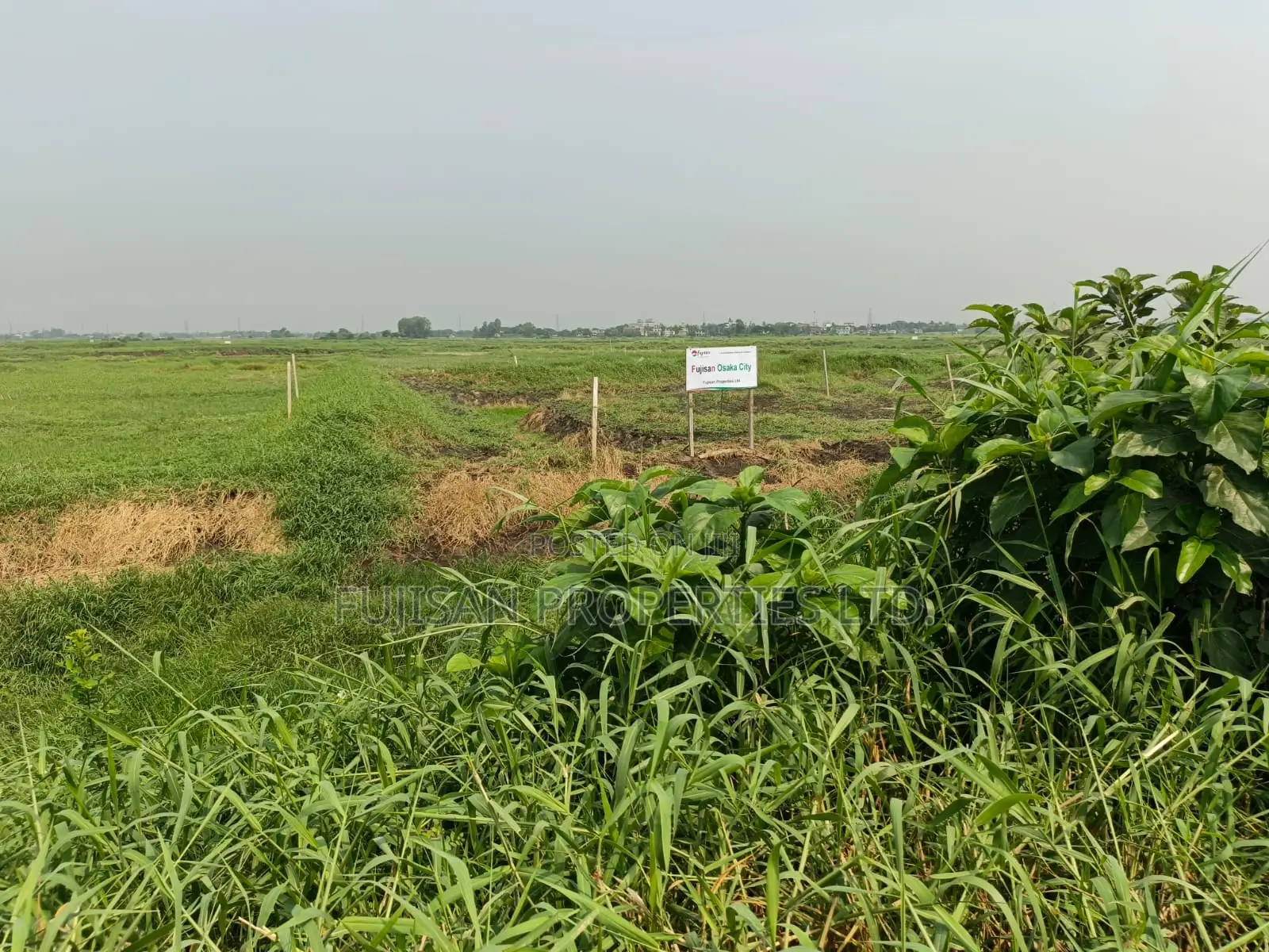 Land Sale (3,5,10 Katha) - Fujisan Osaka City