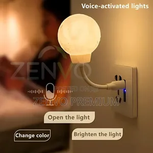 Photo - Moon Light Voice Controlled Led Lamp