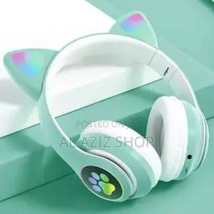 Photo - Full Specification Item Headphone