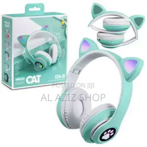 Full Specification Item Headphone