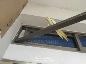 Selling Heavy Parrot Cocktail Bird