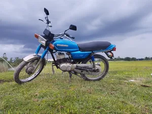 Photo - Suzuki 1992 Blue