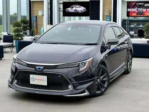 Photo - Toyota Corolla 2020 Purple