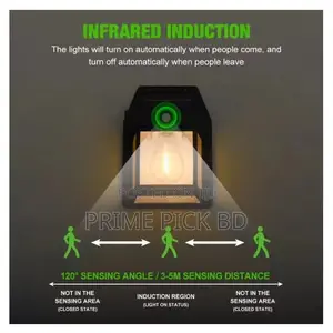 Photo - Motion Sensor Solar Light
