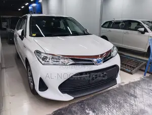 Photo - Toyota Corolla Fielder 2020 White